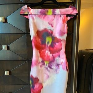 Ted Baker NWT dress